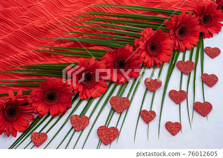 Decoration from gerbera flowers with hearts on red and white background, flat lay. Template for mother's day, valentine's day, birthday, wedding, declaration of love, international women's day. Decoration from gerbera flowers with hearts on red and white background, flat lay. Template for mother's day, valentine's day, birthday, wedding, declaration of love, international women's day. 76012605
