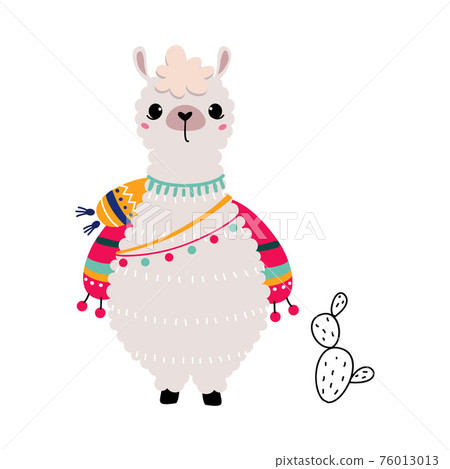Pretty Wolly Llama or Alpaca Wearing Knitted Scarf Standing Vector Illustration 76013013