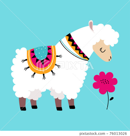 Cute Fluffy Llama or Alpaca as Camelid Pack Animal Smelling Flower Vector Illustration Cute Fluffy Llama or Alpaca as Camelid Pack Animal Smelling Flower Vector Illustration 76013026
