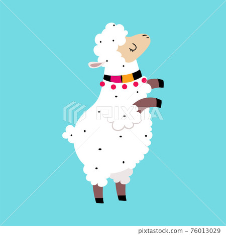 Cute Fluffy Llama or Alpaca as Camelid Pack Animal Vector Illustration 76013029