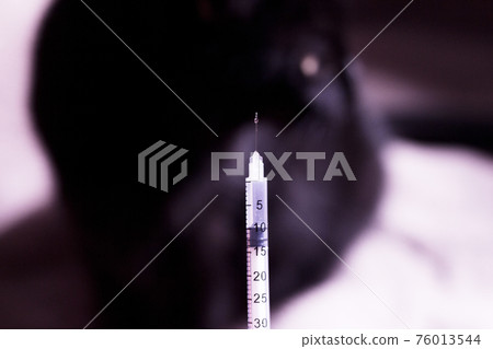 Syringe with insulin and black cat background 76013544