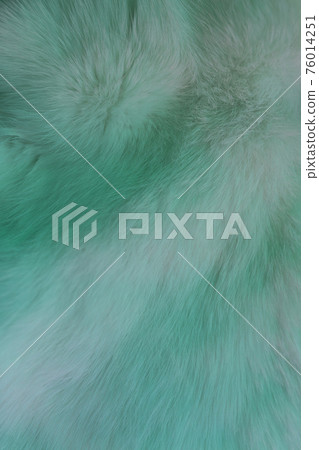 Fur background texture with pale green hue. Fluffy rabbit fur 76014251