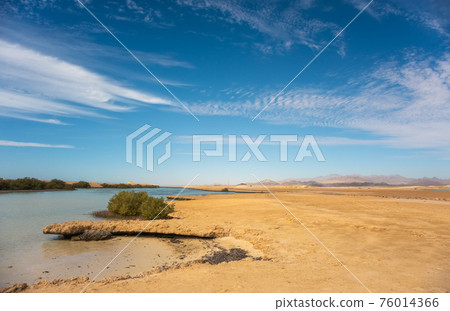 Desert landscape of national park Ras Mohammed, Sinai, Egypt 76014366