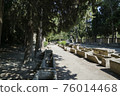 Alyscamps，阿爾勒一座古老墓地的遺址 76014468