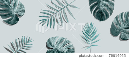Tropical palm leaves from above Tropical palm leaves from above 76014933