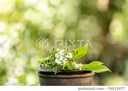 Bouquet of lily of the valley for the labor day 76015477