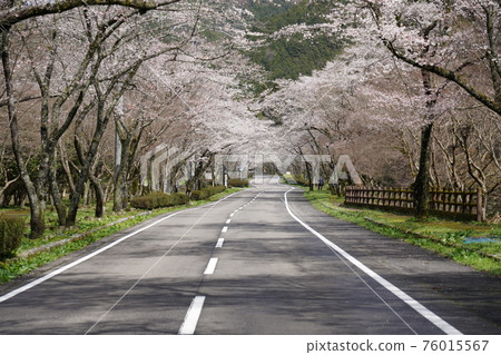 Teraogahara Senbon Sakura Park Teraogahara Senbon Sakura Park 76015567