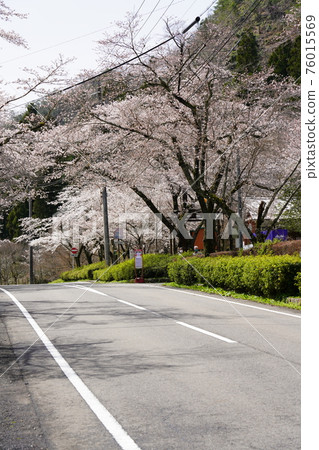 Teraogahara Senbon Sakura Park Teraogahara Senbon Sakura Park 76015569