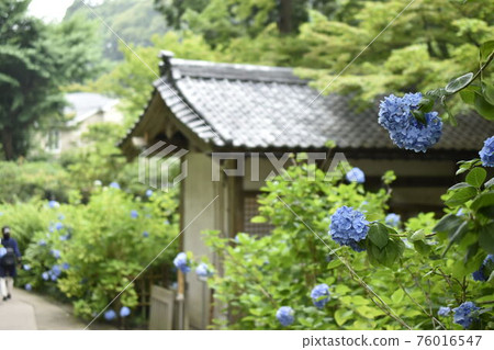 Taken in Kamakura Taken in Kamakura 76016547