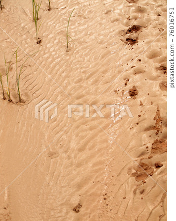 Red soil texture background Red soil texture background 76016751
