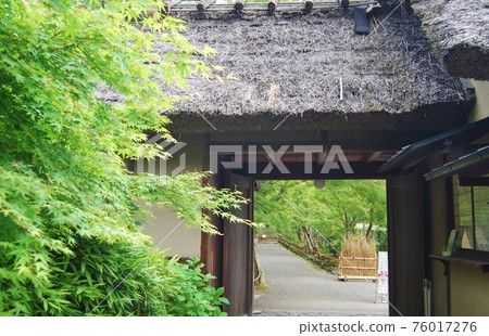Scenery of the crown tree gate of Hogon-in Scenery of the crown tree gate of Hogon-in 76017276