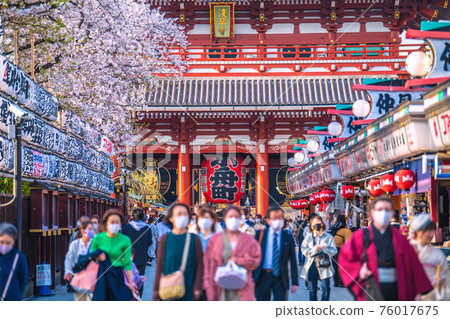 Sensoji Temple, which has returned to its bustling state due to the cancellation of the Tokyo cityscape in Japan (the cancellation of the re-extension of the state of emergency), is in full bloom on March 29 76017675