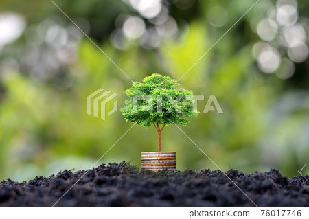 Small trees with green leaves grow on coins or money that overlap naturally with agricultural concepts and sustainable financial growth. 76017746