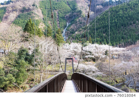 (Tokyo-Landscape) Mitakeenchi scenery seen from Somanoko Bridge 2 76018084