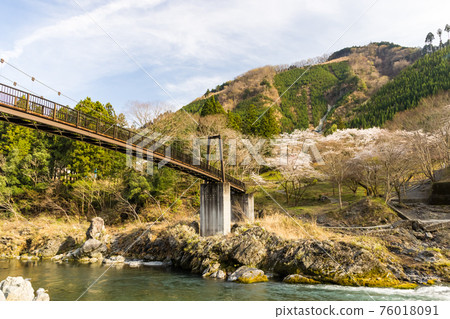 (東京-風景)禦岳峽的櫻花風景 6 (東京-風景)禦岳峽的櫻花風景 6 76018091