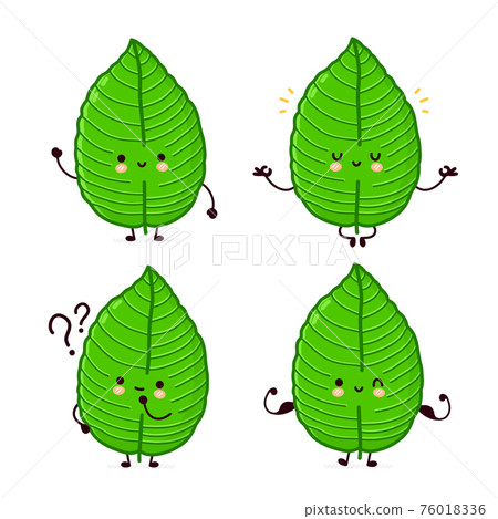 Cute funny kratom leaf character set collection. Vector flat line cartoon kawaii character illustration icon. Isolated on white background. Kratom leaf character bundle concept Cute funny kratom leaf character set collection. Vector flat line cartoon kawaii character illustration icon. Isolated on white background. Kratom leaf character bundle concept 76018336