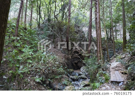 有山路和沼澤的森林（志賀瀑布）/縣立黑山自然公園（埼玉縣諸山町） 76019175