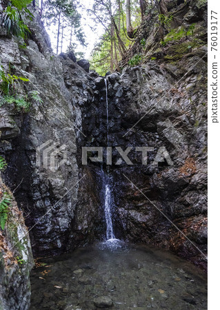 Rock wall where thin water flows down (Shishiga Falls) / Prefectural Kuroyama Nature Park (Moroyama Town, Saitama Prefecture) 76019177