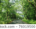 Mountain road, sunbeams, driveway 76019500