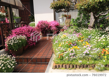 Garden flowers 7 76019972
