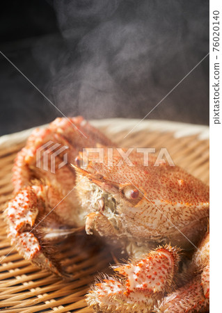 剛煮好的馬毛蟹 76020140