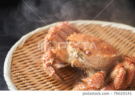 剛煮好的馬毛蟹 76020141