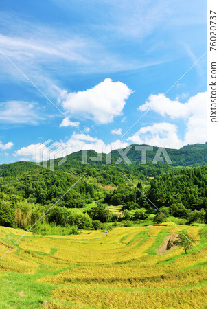 千葉縣秋天的藍天和大山千ma田 千葉縣秋天的藍天和大山千ma田 76020737