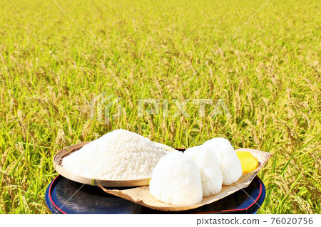 Autumn rice field and bowl of rice balls Autumn rice field and bowl of rice balls 76020756