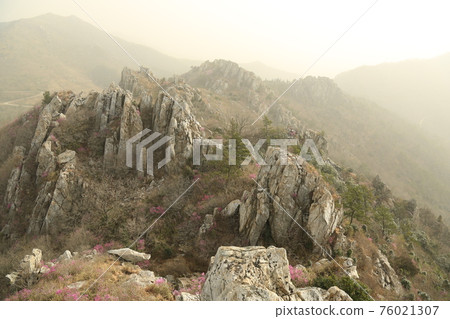 竹雀山、康津、海南、岩石山、杜鵑花、春天的花朵 竹雀山、康津、海南、岩石山、杜鵑花、春天的花朵 76021307