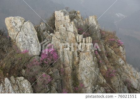 Jujaksan Mountain. Gangjin-gun. Haenam-gun. Bawisan Mountain. Azalea flowers. Candlestick Rock 76021551