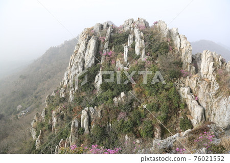 Jujaksan Mountain. Gangjin-gun. Haenam-gun. Bawisan Mountain. Azalea flowers. Candlestick Rock 76021552