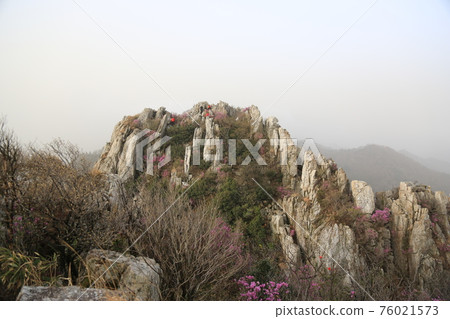 Jujaksan Mountain. Gangjin-gun. Haenam-gun. Bawisan Mountain. Azalea flowers. Candlestick Rock Jujaksan Mountain. Gangjin-gun. Haenam-gun. Bawisan Mountain. Azalea flowers. Candlestick Rock 76021573