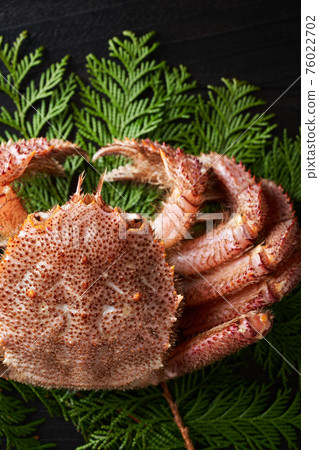 活躍的頭髮蟹 活躍的頭髮蟹 76022702