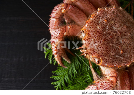 活躍的頭髮蟹 活躍的頭髮蟹 76022708