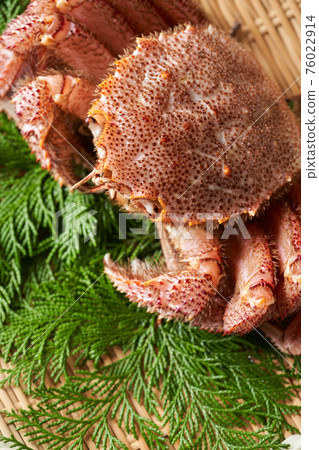 Live hair crab on a colander 76022914