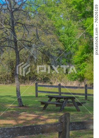 Picnic Table in the shade of a tree. Mexican Moss is hanging from its branches. In Clermont, Lake County, Florida 76026189