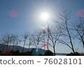 The sun-with the trees- 76028101