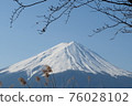 Mt. Fuji-with plants-01 76028102
