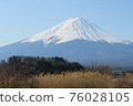Mt. Fuji-with pampas grass and greenery- 76028105