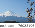 Mt. Fuji-with plants-02 76028106