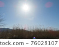 Sun-with Japanese pampas grass- 76028107