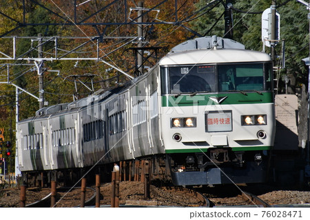 JR東日本185系列臨時急速鎌倉秋葉 JR東日本185系列臨時急速鎌倉秋葉 76028471