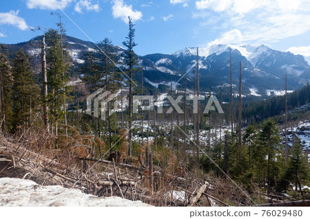High Tatras mountains panorama with snow and forest High Tatras mountains panorama with snow and forest 76029480