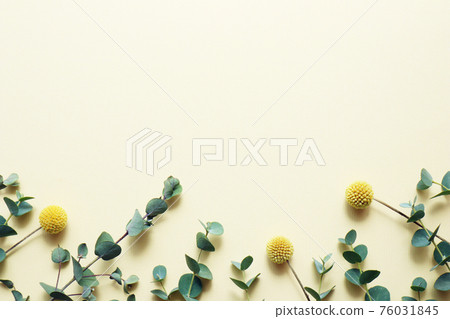 花背景框架與金枝和桉樹排隊[水平位置] 76031845