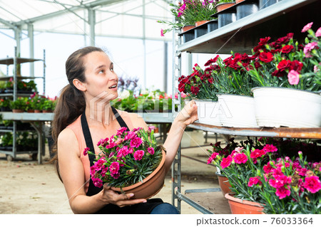 Woman glasshouse store worker holding garden flowers Woman glasshouse store worker holding garden flowers 76033364