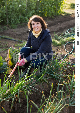 Young woman with hoe in the garden with green onions Young woman with hoe in the garden with green onions 76033961