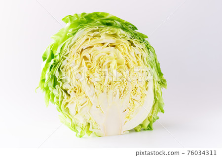 Spring cabbage cross section Spring cabbage cross section 76034311