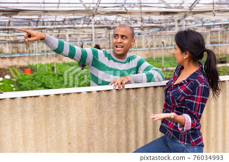 workers talking at vegetable plant factory 76034993