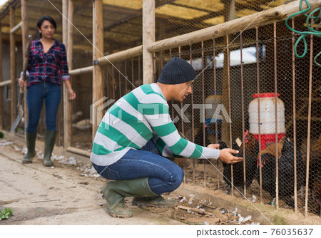 Smiling male proffesional farmer standing at chicken house 76035637