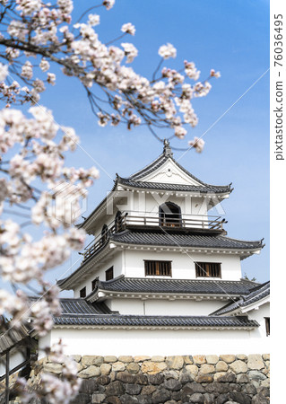 Scenery of Masuoka Park Shiroishi Castle and Sakura Shiroishi City, Miyagi Prefecture Scenery of Masuoka Park Shiroishi Castle and Sakura Shiroishi City, Miyagi Prefecture 76036495